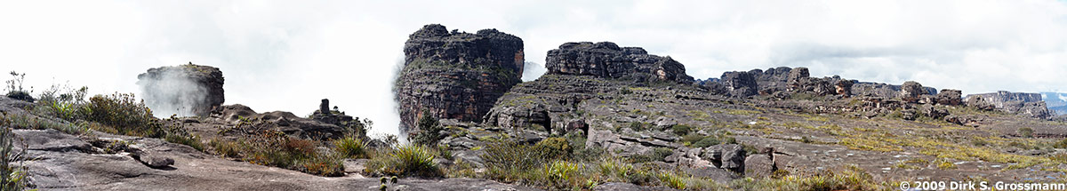 The summit plateau of the table mountain Auyan-Tepui