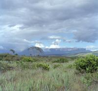 Kukenám-Tepui and Mt. Roraima