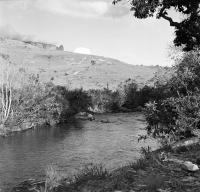 Creek with the First Camp