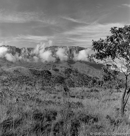 Mt. Roraima from Below (Click for next group)