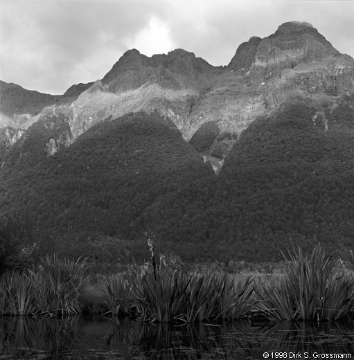 On the Way to Milford Sound (Click for next image)