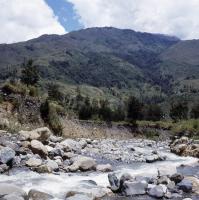 Creek in the Baliem Valley