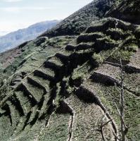 Terraces at the Slope