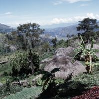 Village at the Baliem Valley Slope