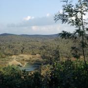 The Ranomafana National Park