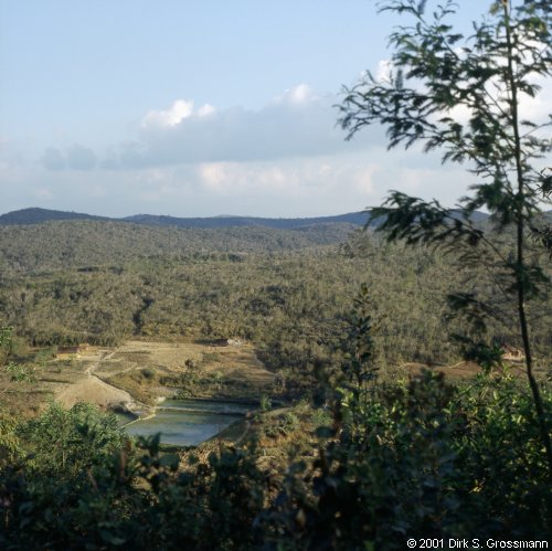 The Ranomafana National Park (Click for next image)