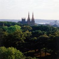 Hyde Park with St. Mary's Cathedral