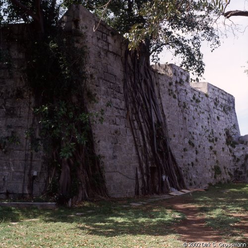 Wall of Castillo Cabaña (Click for next image)