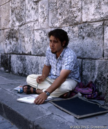Painter at the Plaza de la Catedral (Click for next image)