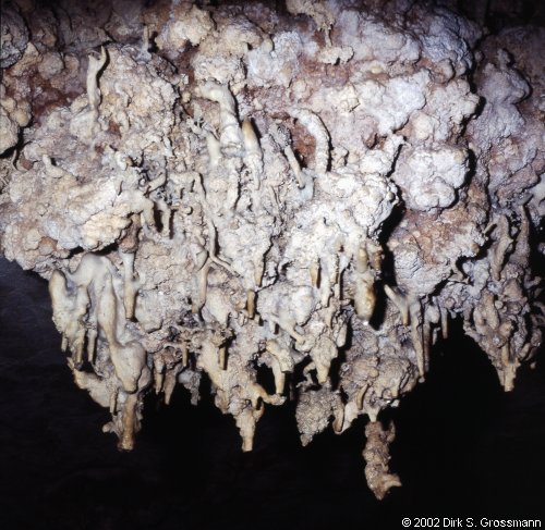 Cueva de Santo Tomás 6 (Click for next image)