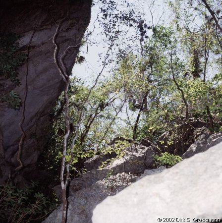 To Cueva de Santo Tomás (Click for next image)