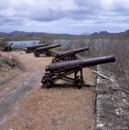 Cannons (Click for next image)
