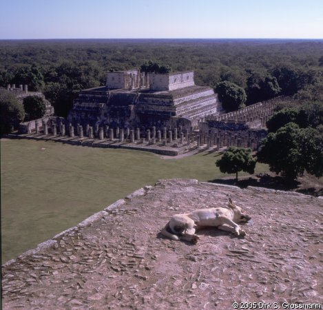 Templo de los Guerreros 3 (Click for next image)