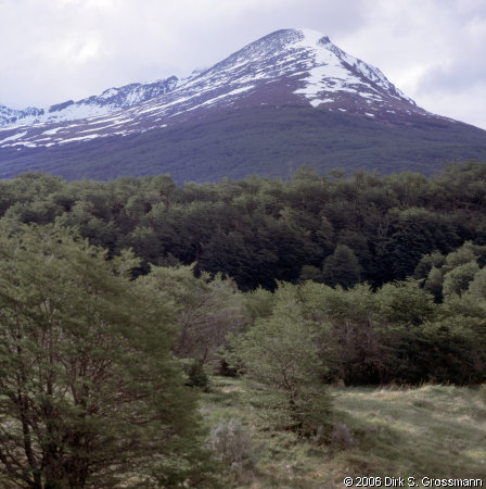 Parque Nacional Tierra del Fuego (Click for next image)