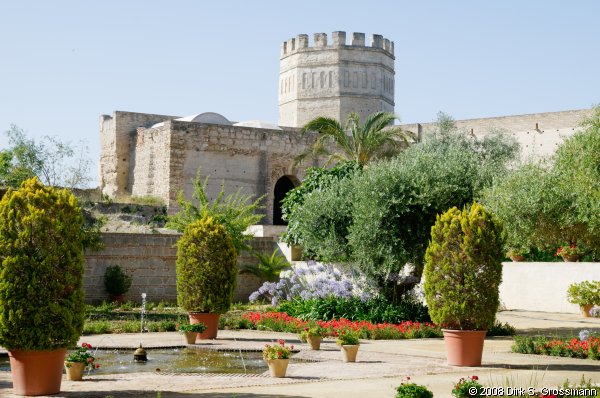 Palacio de Doña Blanca (Click for next image)