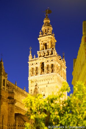 Catedral by Night (Click for next image)