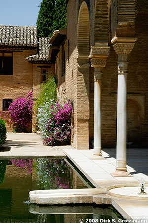 Alhambra, Palacio Arabe