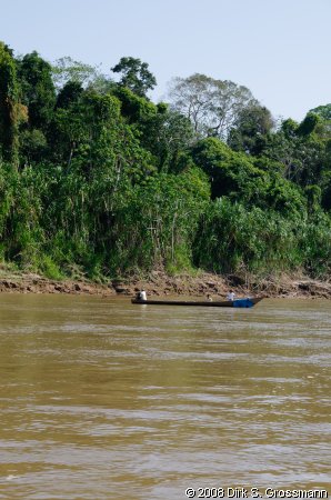 Río Tambopata (Click for next image)