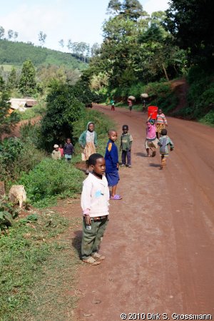Children in the Village (Click for next image)