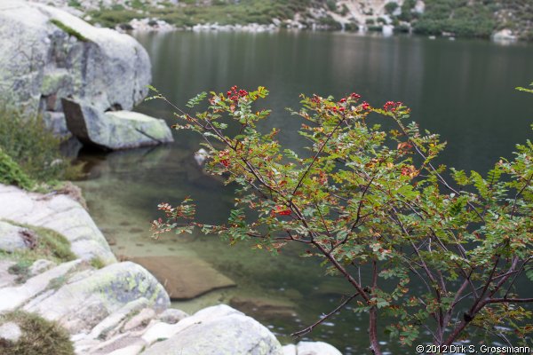 Lac de Melo (Click for next image)