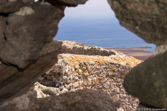 Asinara (Click for next image)