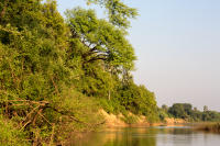 Gambia River at Wassadou