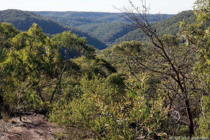 Berowra Valley National Park (Click for next image)