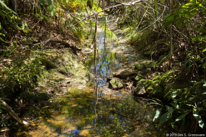 Banggarai Creek (Click for next image)