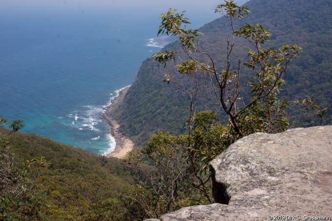 Royal National Park from Werrong Lookout (Click for next image)